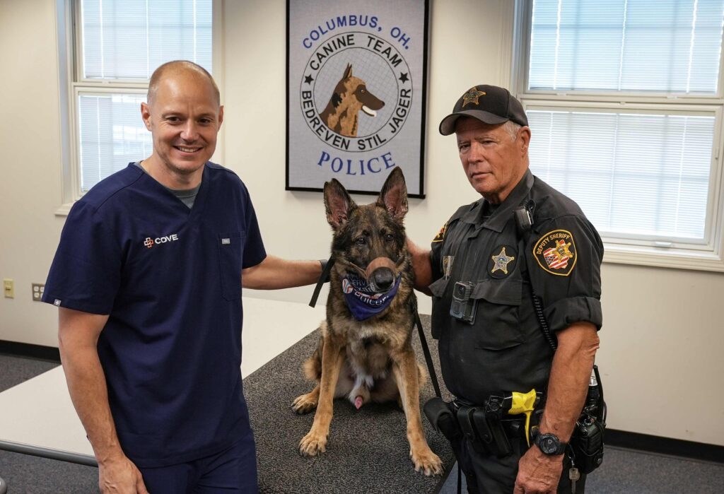 Eye examinations for the CPD Canine and Mounted Equine Units