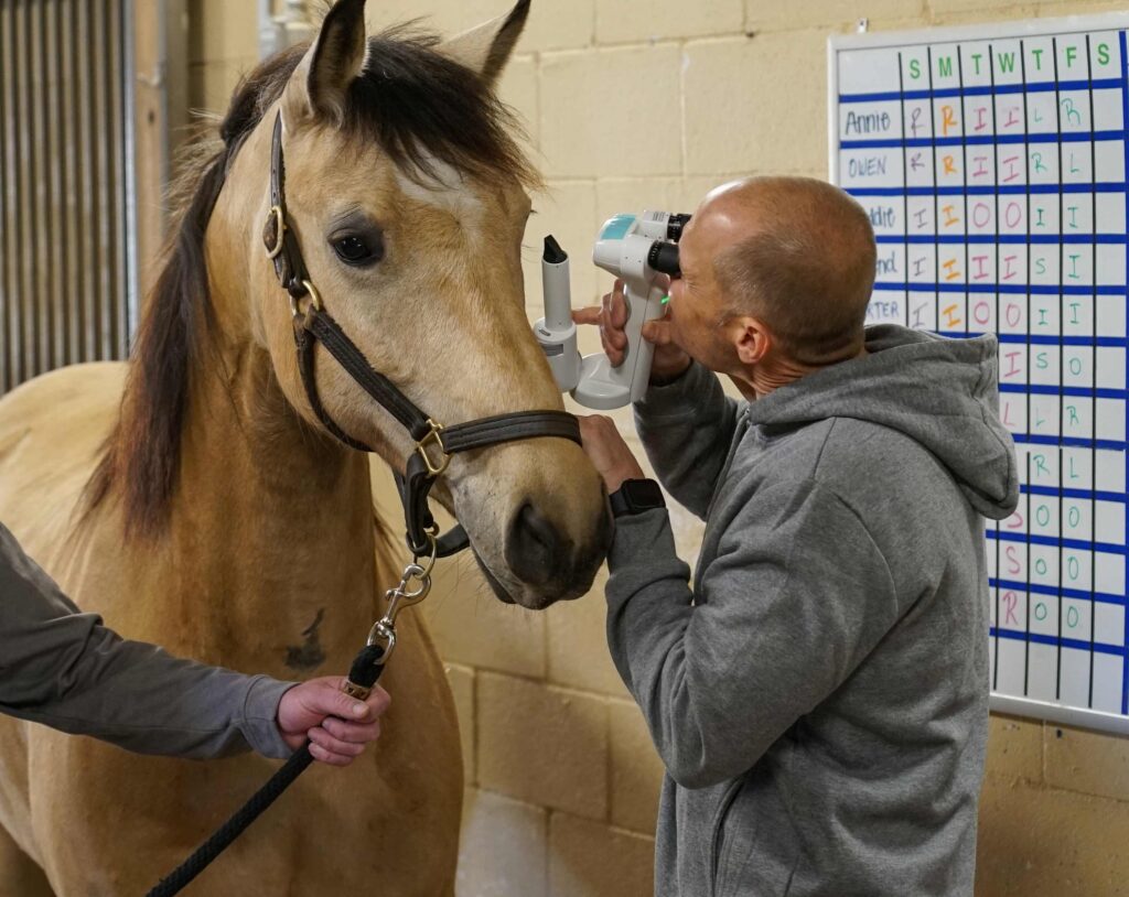 Columbus Police Department Mounted Equine Units Vet Inspection