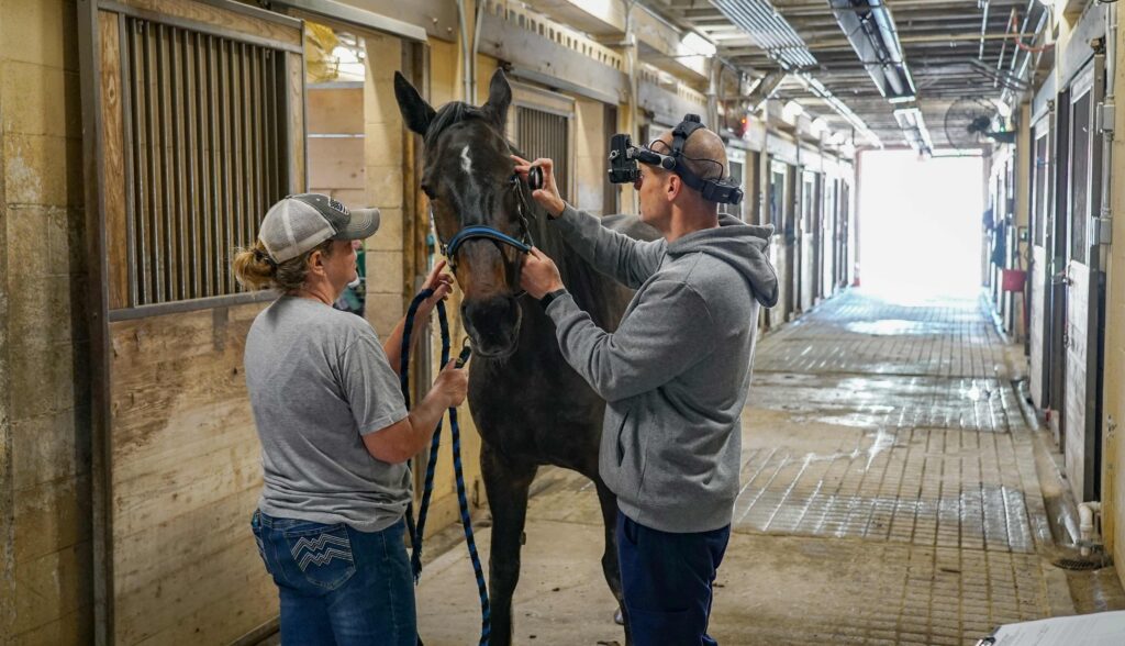 Equine Units Vet Inspection