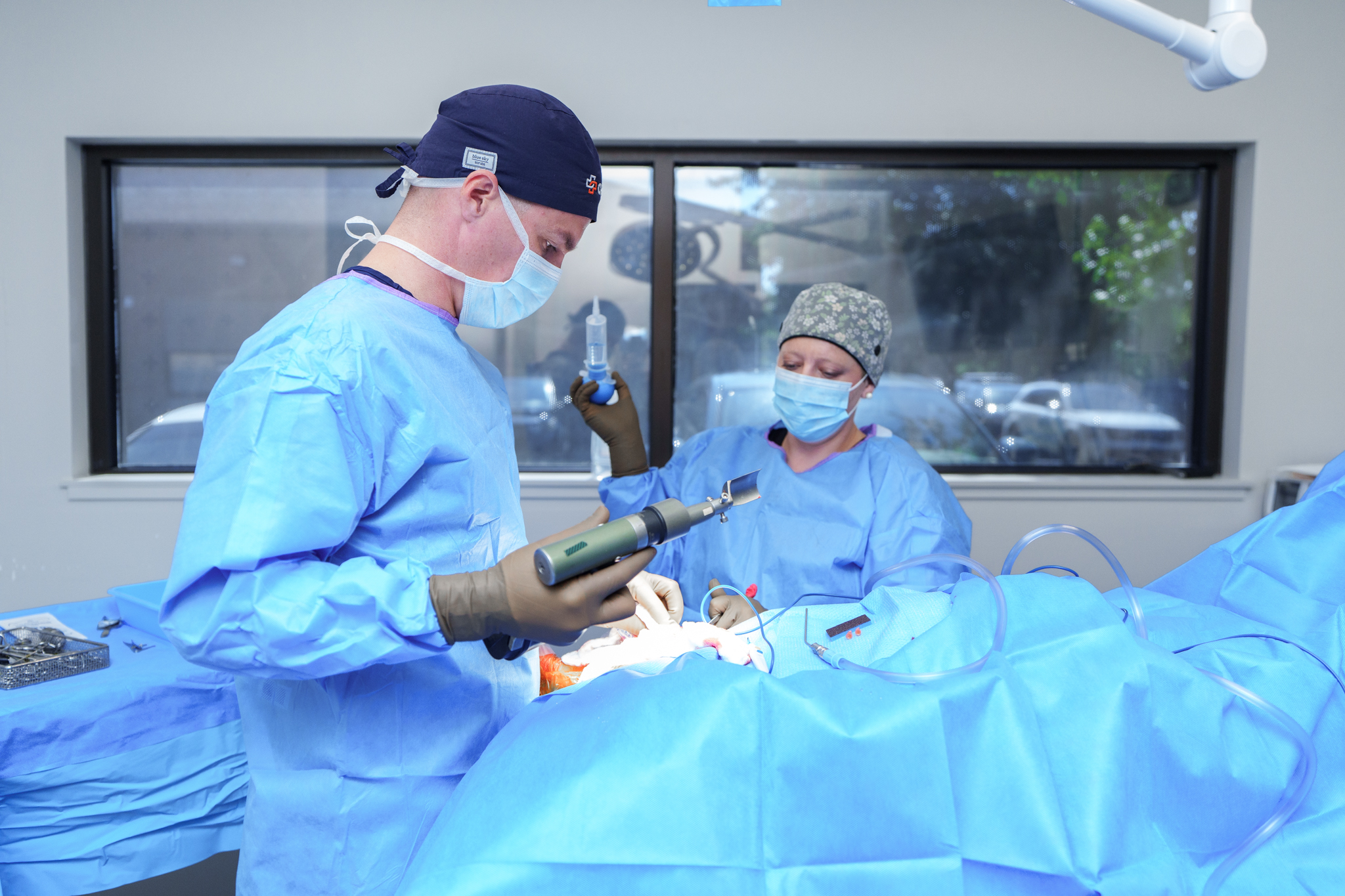 Cove Pet Care Orthopedic Surgery