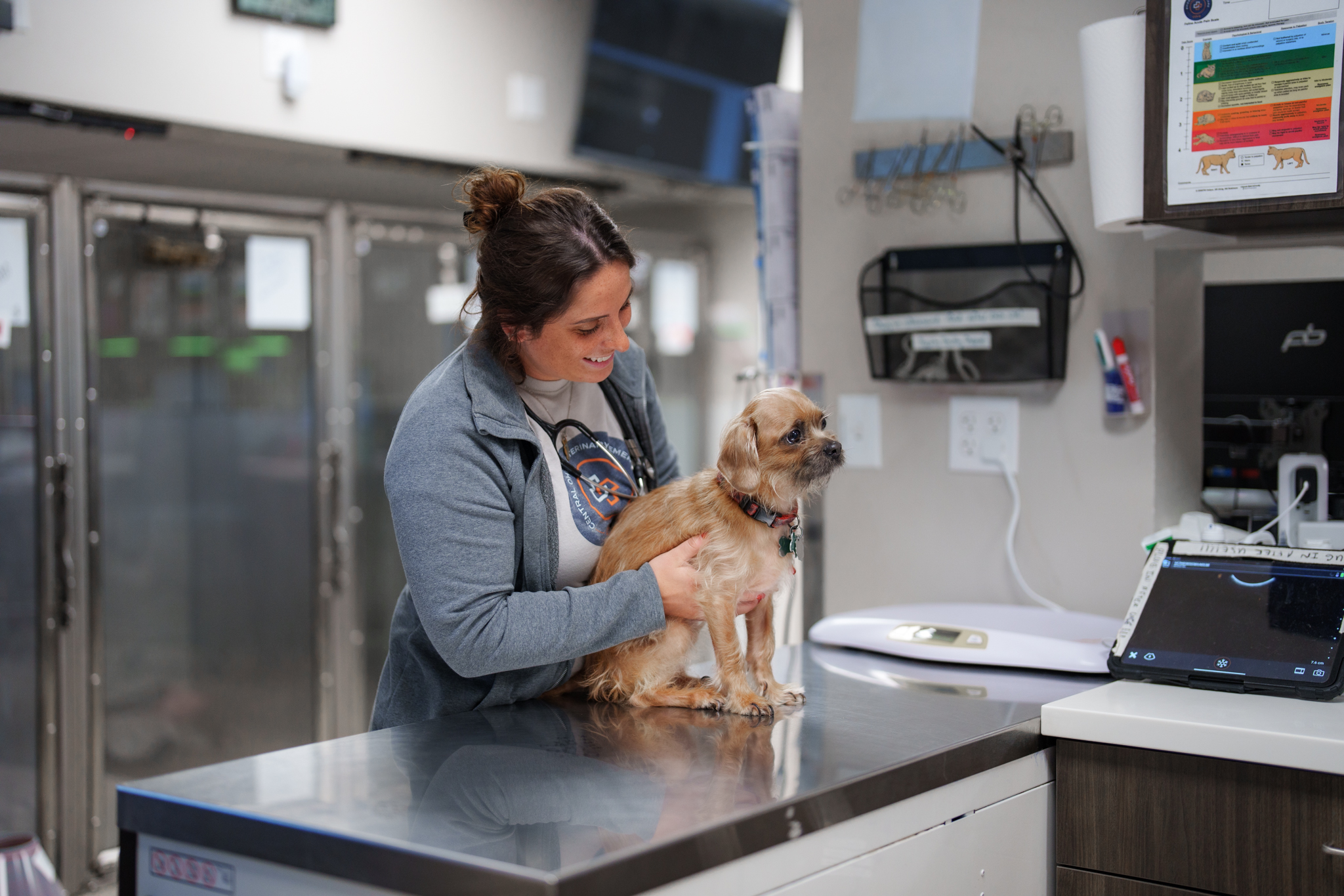 Cove Pet Care Veterinary Hospital
