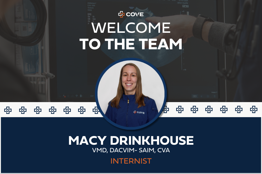 Introduction headshot of Dr. Macy Drinkhouse, the newest internal medicine specialist at COVE Pet Care