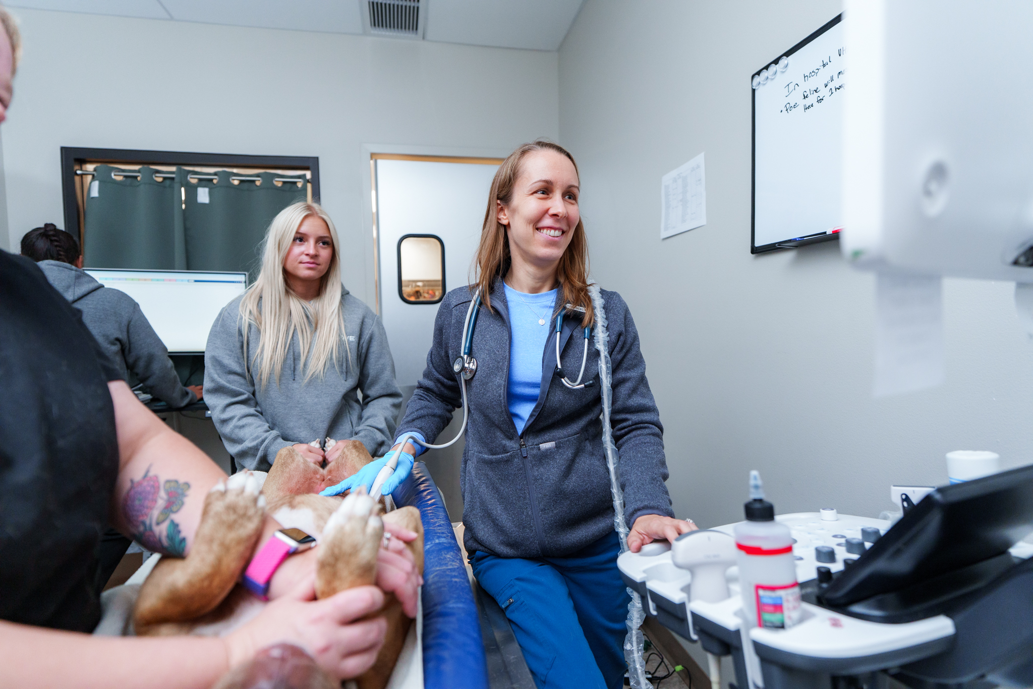 Female Internal Medicine doctor performing an Ultrasound on a dog