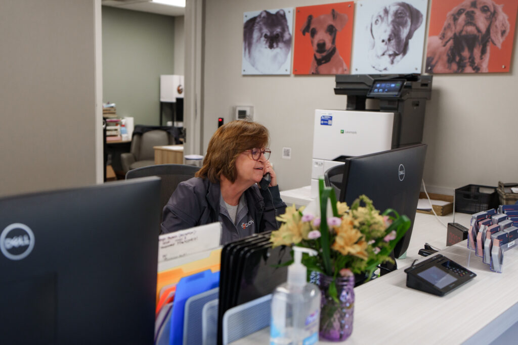 Veterinary receptionist speaking with pet owner by phone