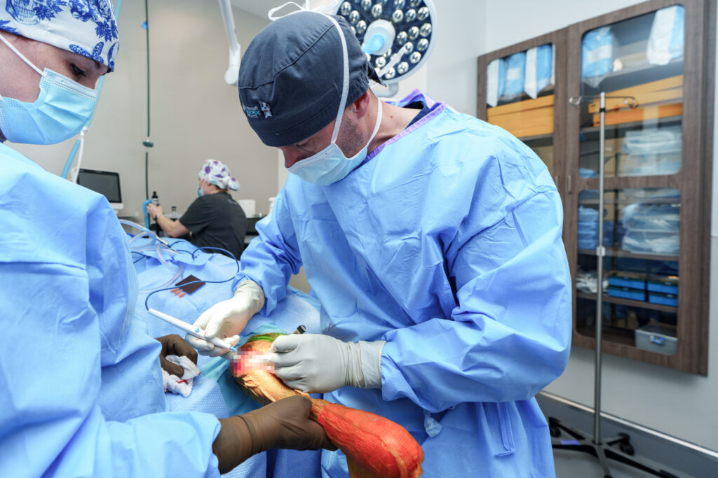 COVE veterinary surgical team at work