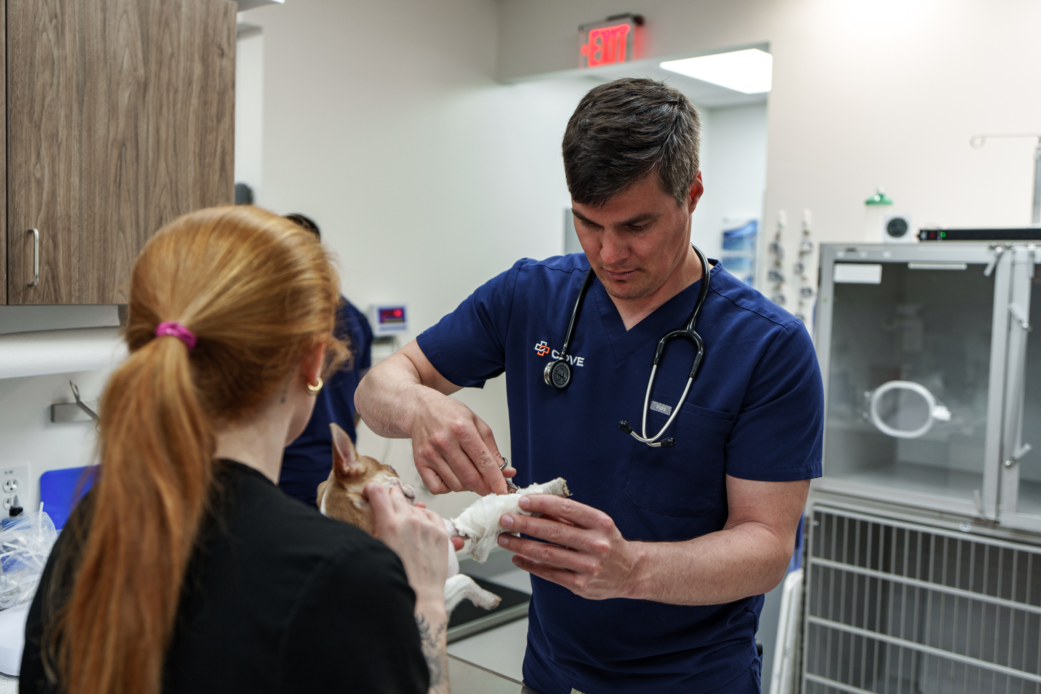 veterinarian bandaging dog leg treatment Clintonville Columbus veterinary hospital