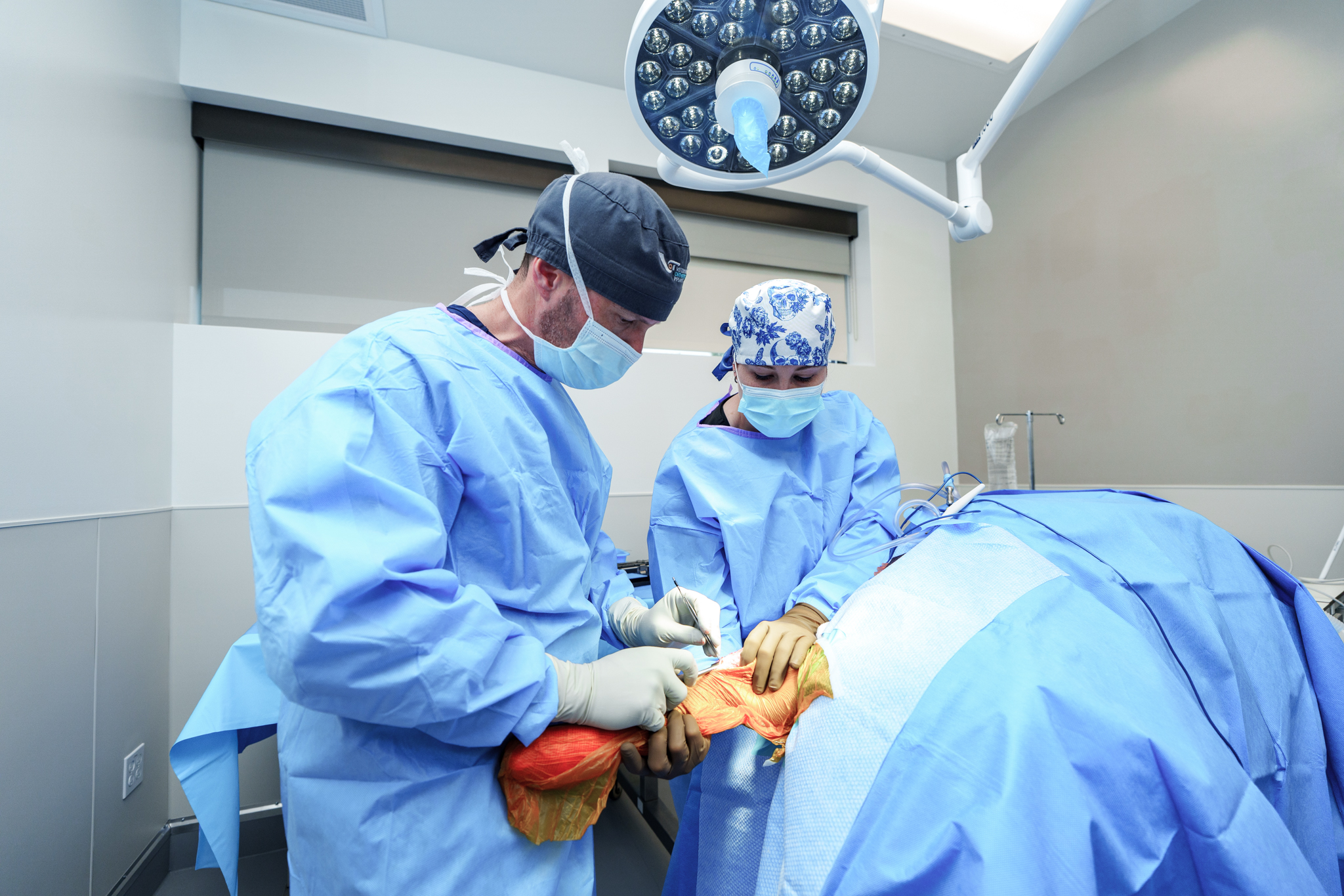 veterinary surgery prep dog leg orthopedic procedure Clintonville Columbus