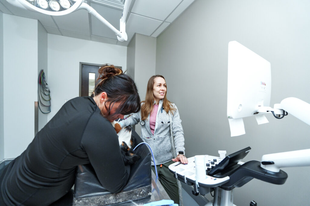 veterinarian reviewing ultrasound screen dog Clintonville Columbus veterinary