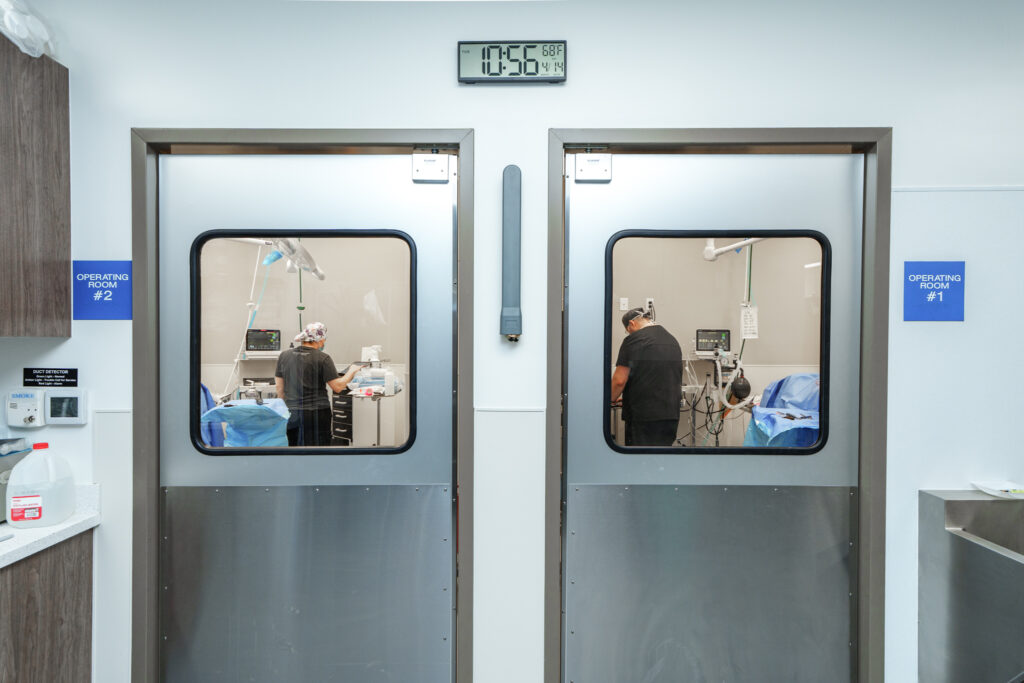 veterinary operating rooms doors Clintonville Columbus COVE Pet Care