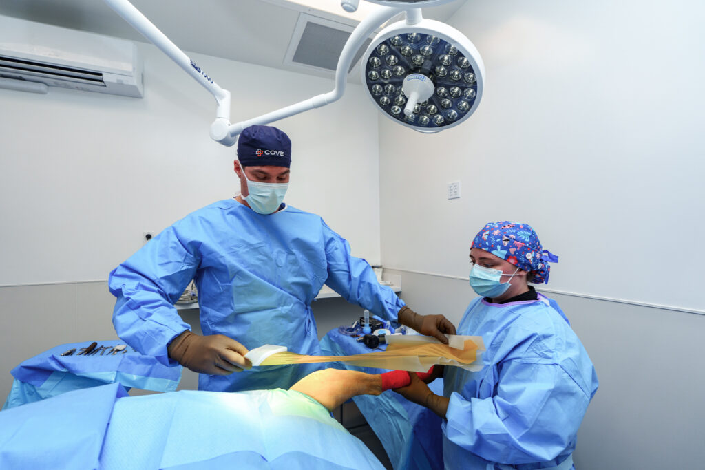 veterinary surgery prep sterile field Clintonville Columbus Ohio hospital