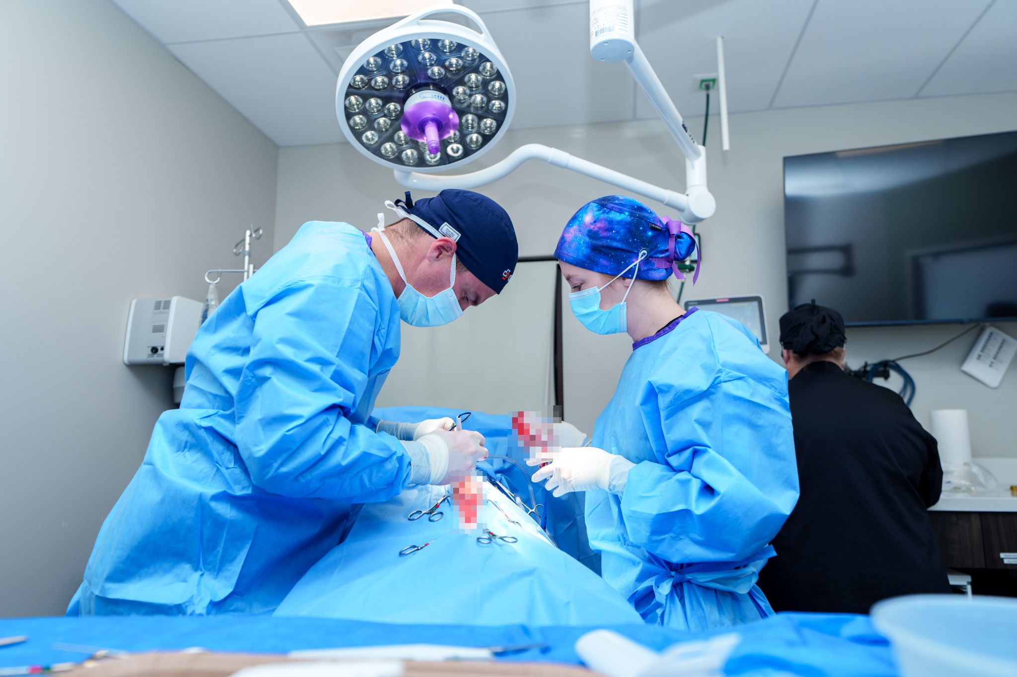 Emergency veterinary team caring for a dog with gastric dilatation-volvulus.