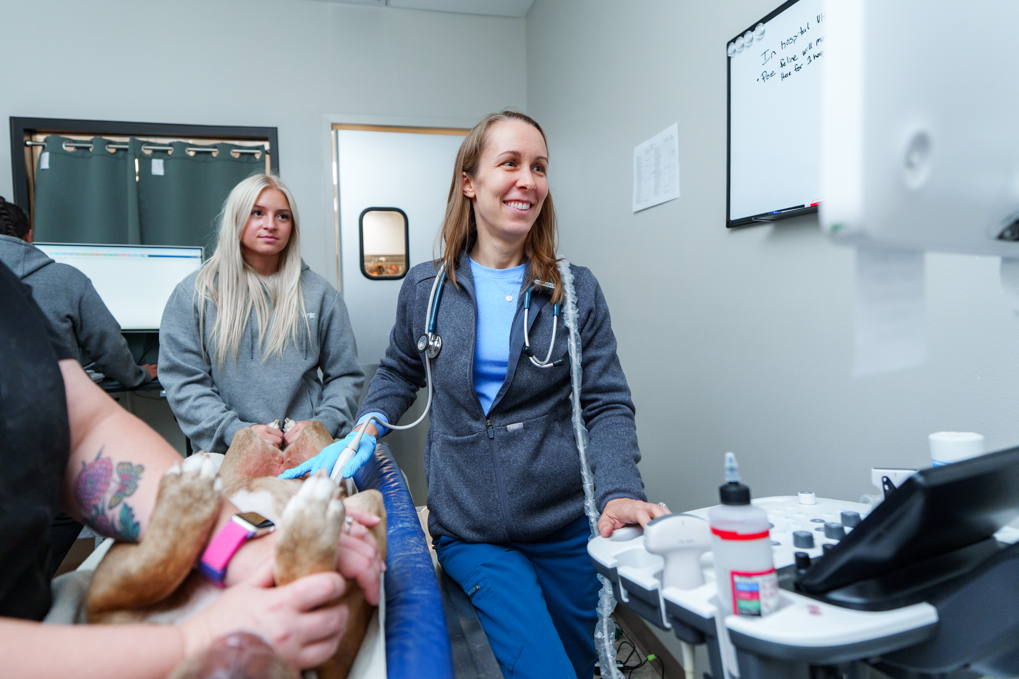 COVE veterinarian and technician providing ultrasound care to a dog at the Delaware hospital
