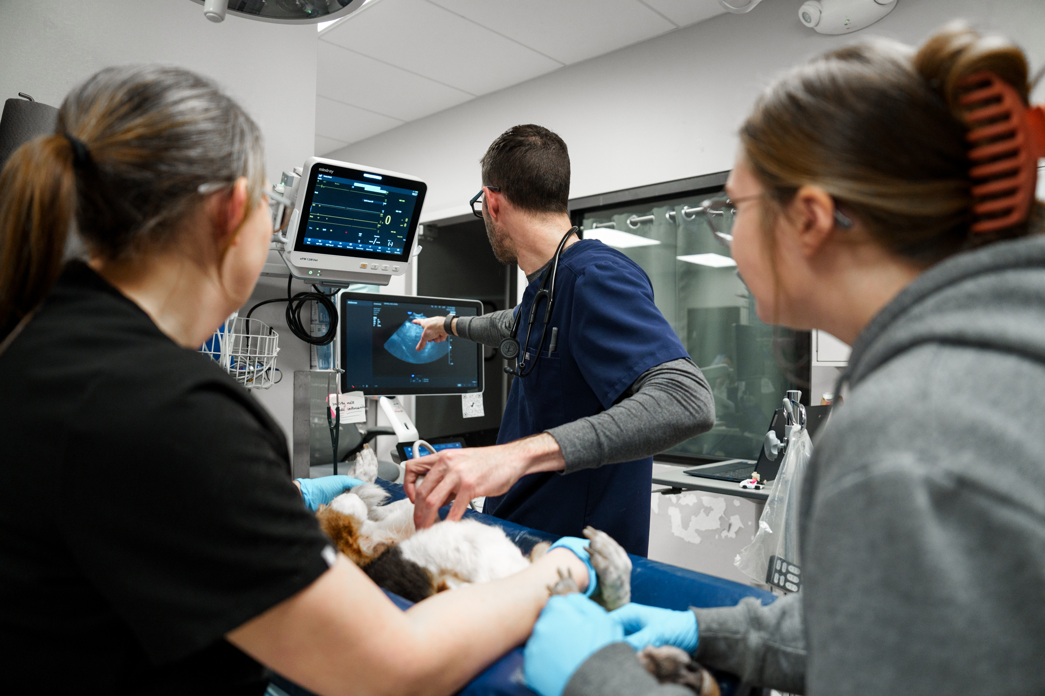 COVE veterinary team reviewing ultrasound findings for a patient at the Delaware hospital