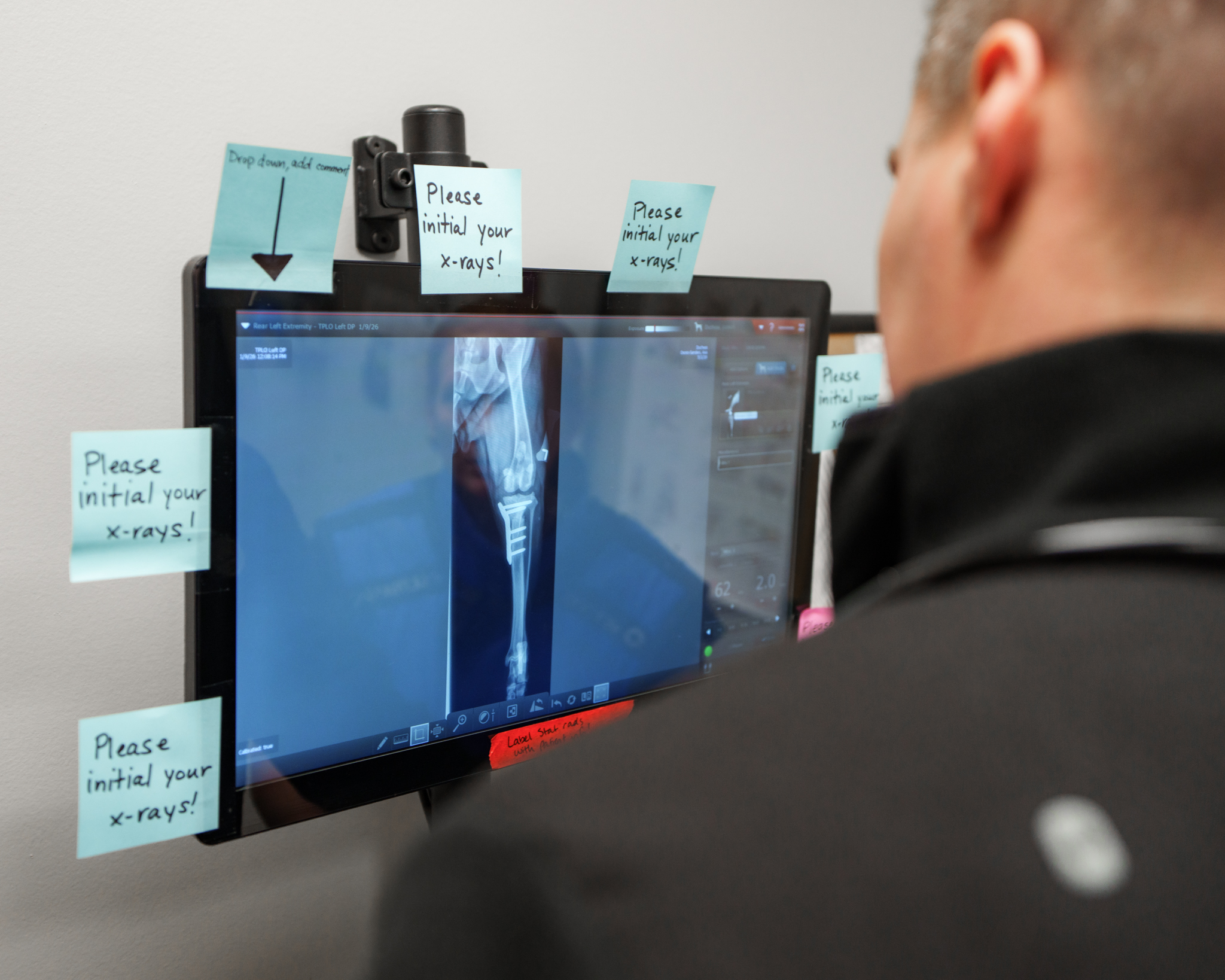 Doctor reviewing an x-ray of a dog during a follow-up after a TPLO surgery