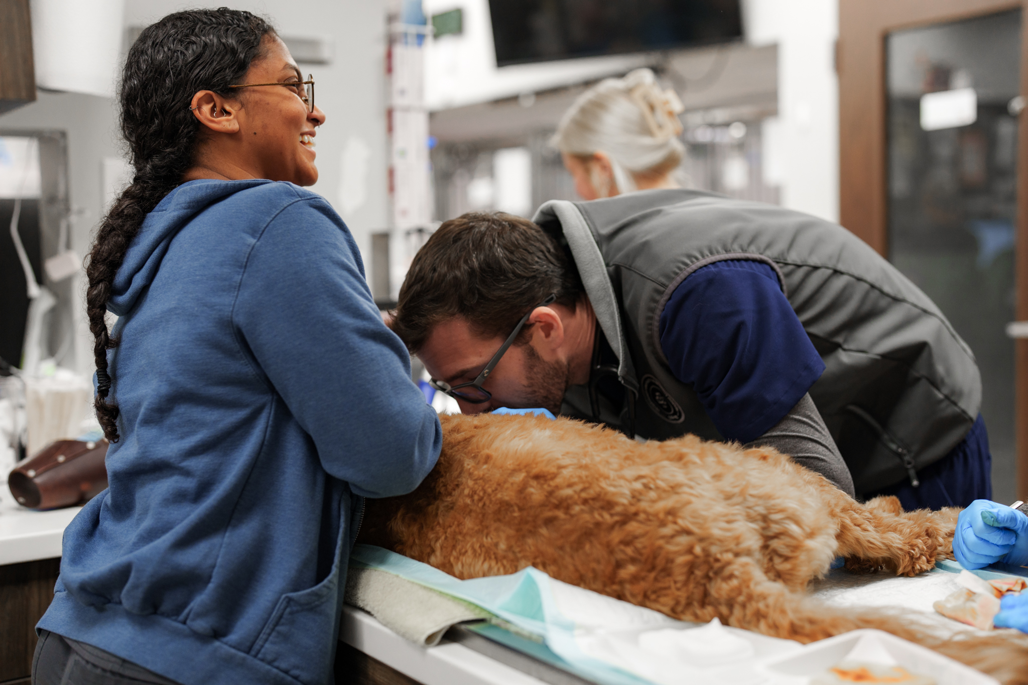 COVE veterinary team treating a dog