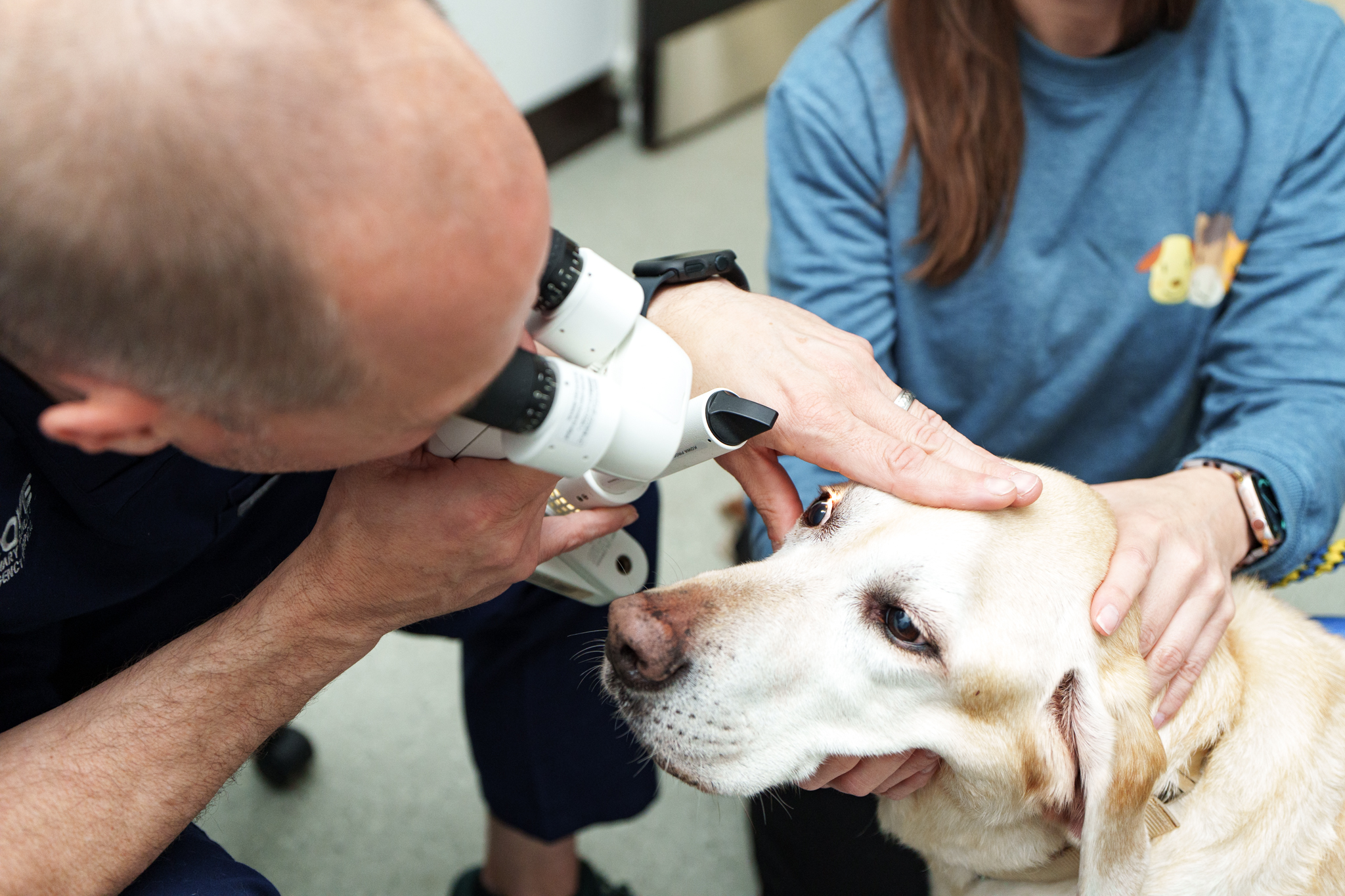 Veterinary ophthalmologist examines a dog's eye with a magnifying instrument at COVE Pet Care