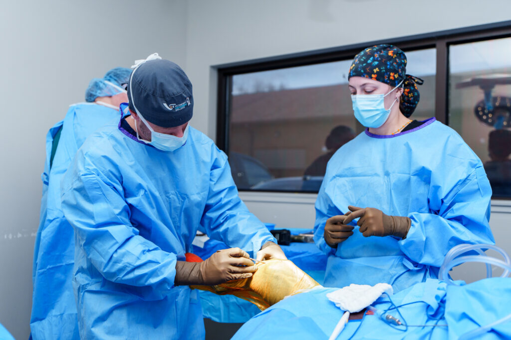 COVE orthopedic surgeons performing a canine limb repair procedure