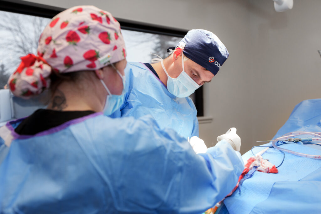COVE orthopedic surgeon and veterinary technician monitoring a dog during knee surgery