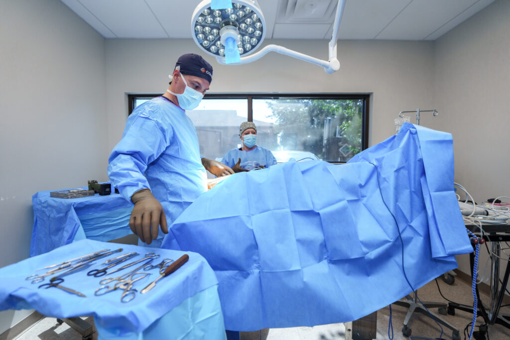COVE orthopedic surgeon in a fully equipped operating room during a canine TPLO procedure