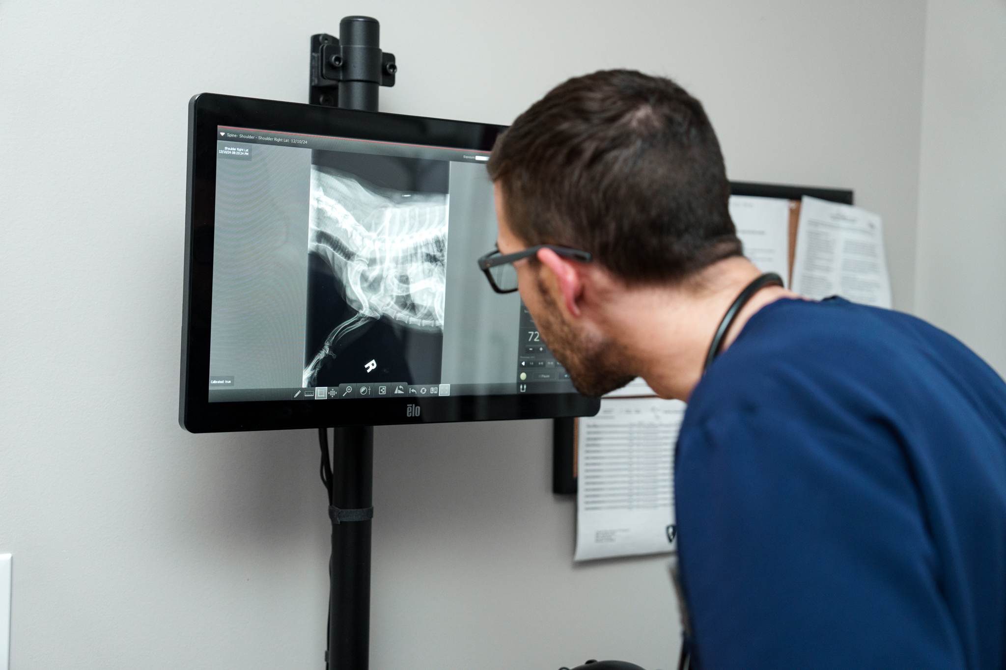COVE veterinarian closely reviewing a pet x-ray on a radiology monitor at the Delaware hospital