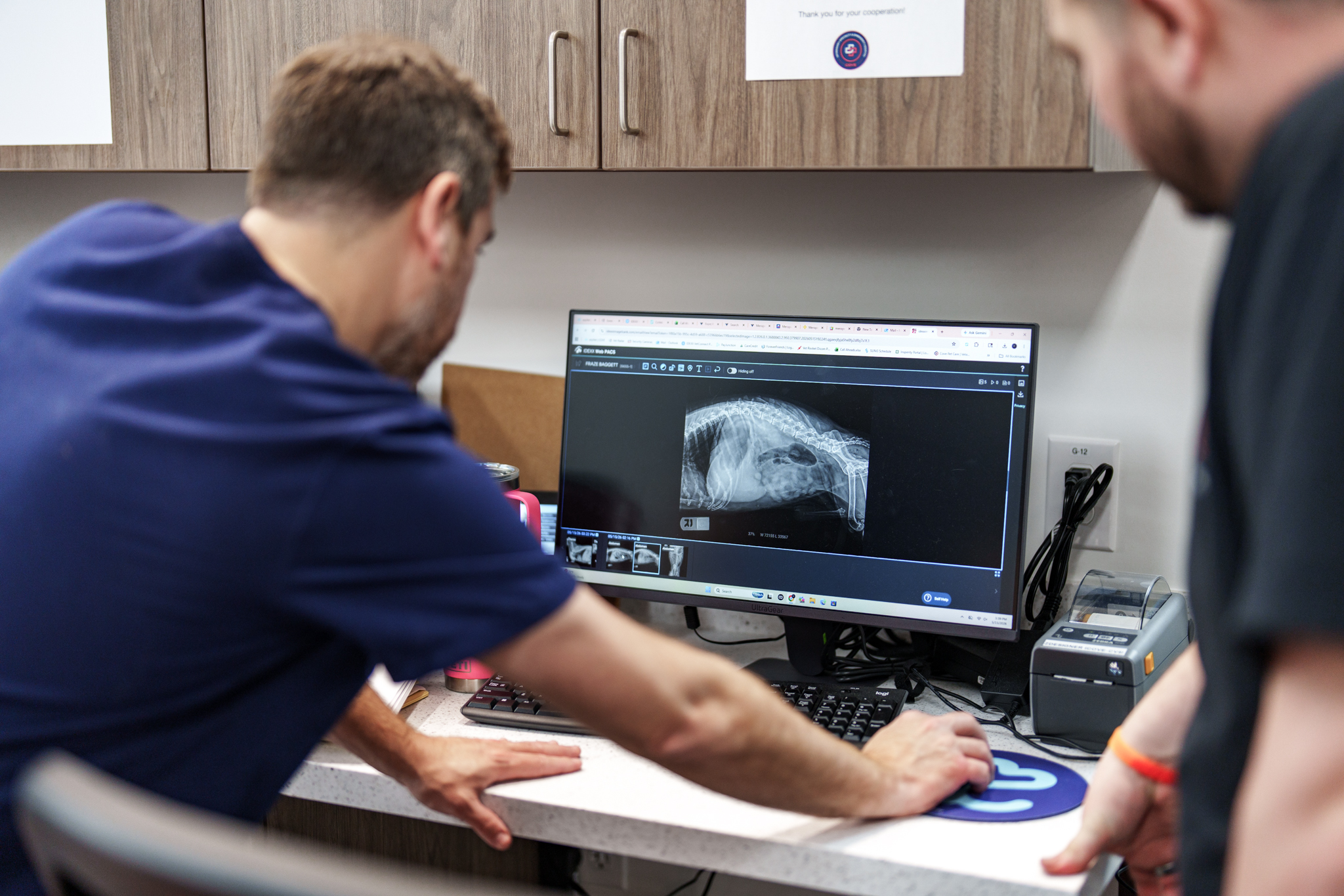 COVE veterinary team reviewing a pet radiograph on a diagnostic imaging monitor