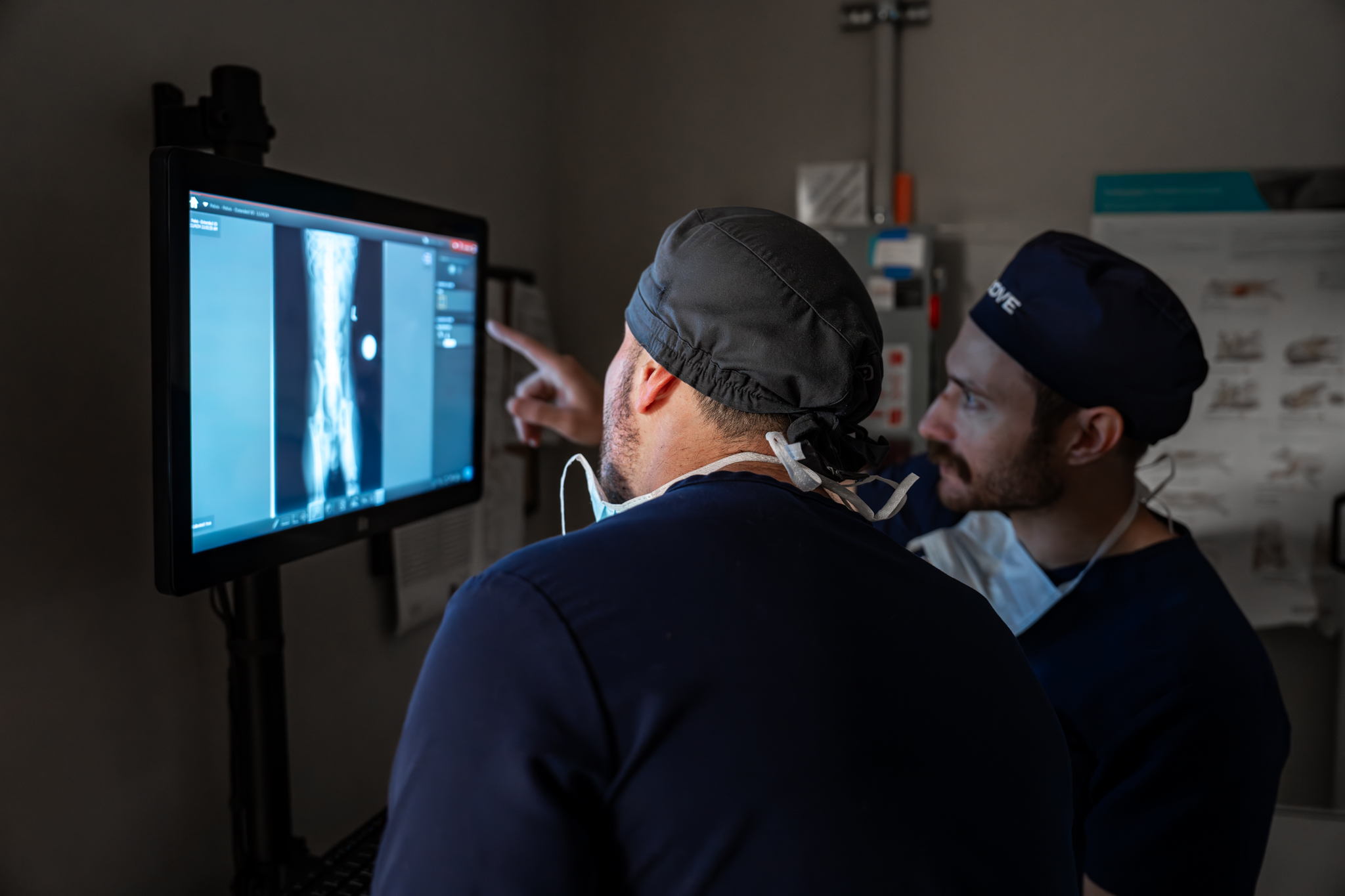 COVE veterinary surgeons reviewing a dog x-ray on a diagnostic imaging monitor
